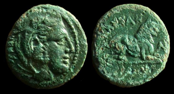  Kassander, 317 - 297 BC. AE18. Struck 319 - 305 BC at an uncertain mint in Macedonia
[i]Obverse[/i]: No legend. Head of Herakles, wearing lion's skin, facing right.
[i]Reverse[/i]: KA&#931;&#931;AN - &#916;POY, above and below crouching lion facing right, &Lambda; in right field, before lion.
Diameter: 17.77mm | Weight: 3.76gms | Die Axis: 6
[b]SNG Cop 1138 | Sear GCV 6753 | Forrer/Weber 2161[/b]

[b][color=purple]This type was issued before Kassander's assumption of the royal title in 305 BC[/color][/b]

Kassander (Cassander) was one of the Diadochoi, a group of Macedonian generals, and the self proclaimed ruler of Macedonia during the political turmoil following the death of Alexander the Great in 323 BC. He was the son of Antipater, who had been appointed as regent in Macedonia while Alexander was in the East.
In 319 BC and close to death, Antipater transferred the regency of Macedonia to Polyperchon. Kassander refused to acknowledge the new regent and, with the aid of Antigonus I Monopthalmus the ruler of Phrygia, he seized Macedonia and most of Greece, including Athens. In 317 BC, he declared himself regent and had Alexander's widow, Roxanna and son, Alexander IV confined in Amphipolis. Later, in 310 or 309 BC, he had them put to death by poisoning. But, even though he had murdered Alexander's heirs and had been the de facto ruler of Macedonia from 317 BC, Kassander did not take the royal titles and declare himself king until 305 BC. 
Meanwhile, Antigonus was intent on reuniting Alexander's empire under his own sovereignty and so Kassander joined forces with Ptolemy I of Egypt, Seleucus in Babylon and Lysimachus ruler of Thrace to oppose him. The two sides fought several battles between 319 and 303 BC resulting in Kassander losing Athens in 307 BC and his possessions south of Thessaly between 303 and 302 BC. However, in 301 BC  Antigonus was defeated and killed at the Battle of Ipsus in Phrygia which allowed Kassander to secure undisputed control over Macedonia.
During his rule Kassander restored peace and prosperity to the kingdom, founding or restoring numerous cities, including Thebes which had been levelled by Alexander as punishment for rebelling against him. He also founded Thessalonica, naming the city after his wife, and Cassandreia, founded upon the ruins of Potidaea, which was named after himself.
Kassander died of dropsy in 297 BC and may have been buried in a royal tomb recently discovered at Vergina, identified as Aigai, the first Macedonian capital.

