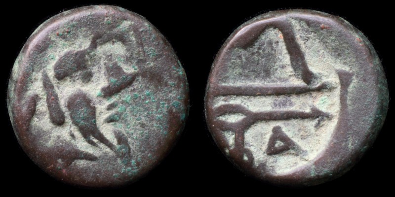 Phanagoria - AE 13
3rd century BC
head of Silen wearing ivy-wreath right
bow and arrow
&#934;A
SNG BM 994
1,81g 11mm
Keywords: Phanagoria Silen bow arrow