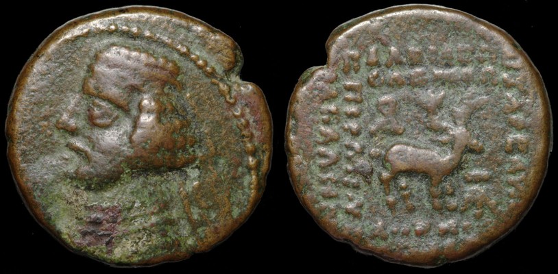 Orodes II.,  57 - 38 BC
AE 16,   3,67gr.,  16,23mm;
Sellw.47type,   Shore --;
mint:  Ekbatana,   axis : 12h;
obv.:  bare-headed, left, w/diadem;  medium-long hair in 4 waves, mustache, short beard; 3-layer necklace;  dotted border 10 - 16h; 
rev.: stag w/large antlers, right, framed by 7-line legend:  BACI&#923;E&#937;C BACI&#923;E&#937;N APCAKOY, bottom line illegible, E&#928;I&#934;ANoY(C) (&#934;)I&#923;E&#923;&#923;HN(oC);  monogramm 34 at bottom right, monogr. 63 above stag’s rump;

ex:  Persepolis Gallery, UK.

