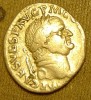Copy_of_vespasian_silver-denarius_clasped-hands-caduceus-poppies-wheat_obv_09.jpg