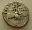 vespasian_silver-denarius_clasped-hands-caduceus-poppies-wheat_rev_04.jpg