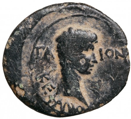 022 - GAIVS
Gaius Caesar was consul in AD 1 and the grandson of Augustus


<b><a href="https://www.forumancientcoins.com/gallery/displayimage.php?pos=-133087">for obverse, reverse and coin details click here</a></b>

	

