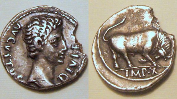 Augustus Denarius,  RIC 167a, Bull
OBV:  AVGVSTUS DIVI F, bare head right
REV:  IMP X, bull butting right
3.7g, 18mm

Minted at Lugdunum, 15-13 BC
