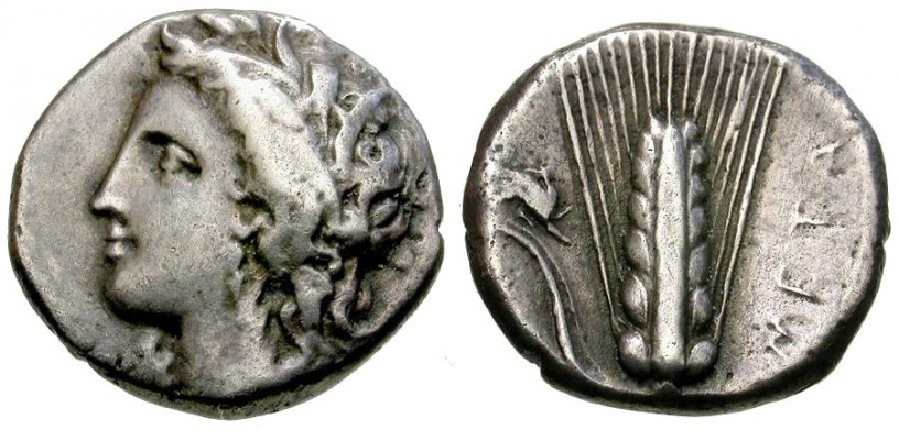 Lucania. Metapontum AR Nomos / Barley Ear
Attribution: HN Italy 1589
Date: 340-330 BC
Obverse: Wreathed head of Demeter left
Reverse: META, Ear of barley with leaf to left, Griffin above leaf
Size: 18.72 mm
Weight: 7.16 grams
Description: VF.
