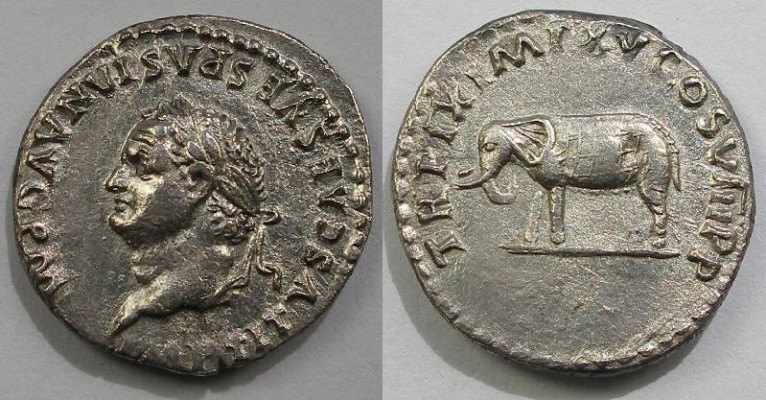RIC 116 Titus
AR Denarius, 3.18g
Rome mint, 80 AD
Obv: IMP TITVS CAES VESPASIAN AVG P M; Head of Titus, laureate, bearded, l.
Rev: TR P IX IMP XV COS VIII P P; Elephant, stg. l.
RIC 116 (C). BMC 47. RSC 304. BNC 41.
Ex Harry N. Sneh Collection.

A reverse type that commemorates the opening games of the Flavian Amphitheatre. Elephants were featured in those first games and Martial in his book On the Spectacles actually mentions an elephant, who after dispatching a bull in the arena, knelt before the emperor! Perhaps a neat trick the trainer had taught the beast. This is the rarer left facing portrait variety of the type.

A really nice portrait with a fantastic elephant on the reverse.

