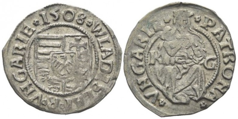 Huszár 811, Pohl 253-4, Unger 646c, Réthy II 278A; dated 1508
Hungary. Ulászló/Wladislaus II (1490-1516)

AR denar, .51 g., 15.38 mm. max., 270°

Obv: WLADISLAI * R * VNGARIE * 1508 *, Four-part shield with Hungarian arms (Árpádian stripes, patriarchal cross, Dalmatian leopard heads, Bohemian lion), Polish eagle in escutcheon. 

Rev: * PATRONA * – * VNGARIE *, Crowned Madonna with infant Jesus to her right, K–G (privy mark) in fields. 

The type was struck 1503-1518 (per Huszár, Pohl and Unger).  This privy mark was struck in Kremnitz/Körmöcbánya, 
now Kremnica, Slovakia, by Georg Thurzó, kammergraf, (per Pohl).

Huszár rarity 4, Pohl rarity5, Unger rarity 3.

