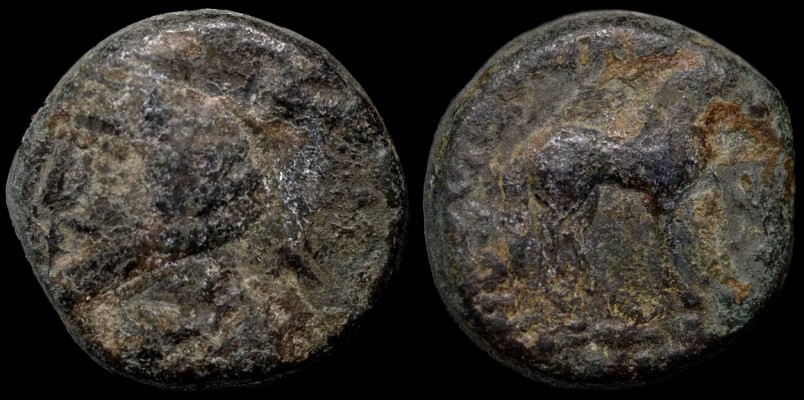 Phraates IV.,  38 - 2 BC
AE 10,  2,24gr.,  10, 21mm;
Sellw. --,   Shore  --;
mint: Ekbatana or Mithradatkart,   axis:  12h
obv.:   bare-headed, right, w/ diadem;  medium-long hair in 4 waves, mustache, medium-long pointed beard;  royal wart;  an eagle seems to be in the upper right field;
rev.:  horse, right, standing;  no legend visible but in the right field, the monogr. 30 seems to have been lost by corrosion or removal;

this coin appears to have a Sellw. 52 obv. combined with a Sellw. 51 rev.;

ex:  Sphinx Numismatics, CAN.

