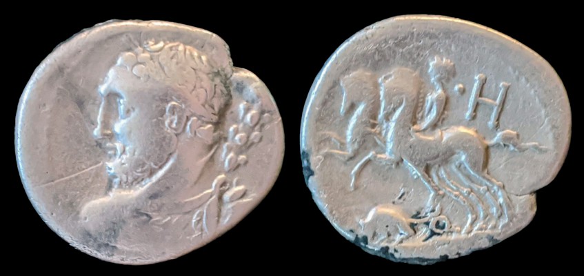 Ti. Quinctius. (112 - 111 B.C.)
AR Denarius
O: Laureate bust of Hercules left, seen from behind, with club over shoulder.
R: Two horses galloping left, with a desultor riding the nearest one; •/H above, rat below, •D•S•S on tablet in exergue.
Rome Mint
3.68g
20mm
Crawford 297/1b; Sydenham 563; Quinctia 6

